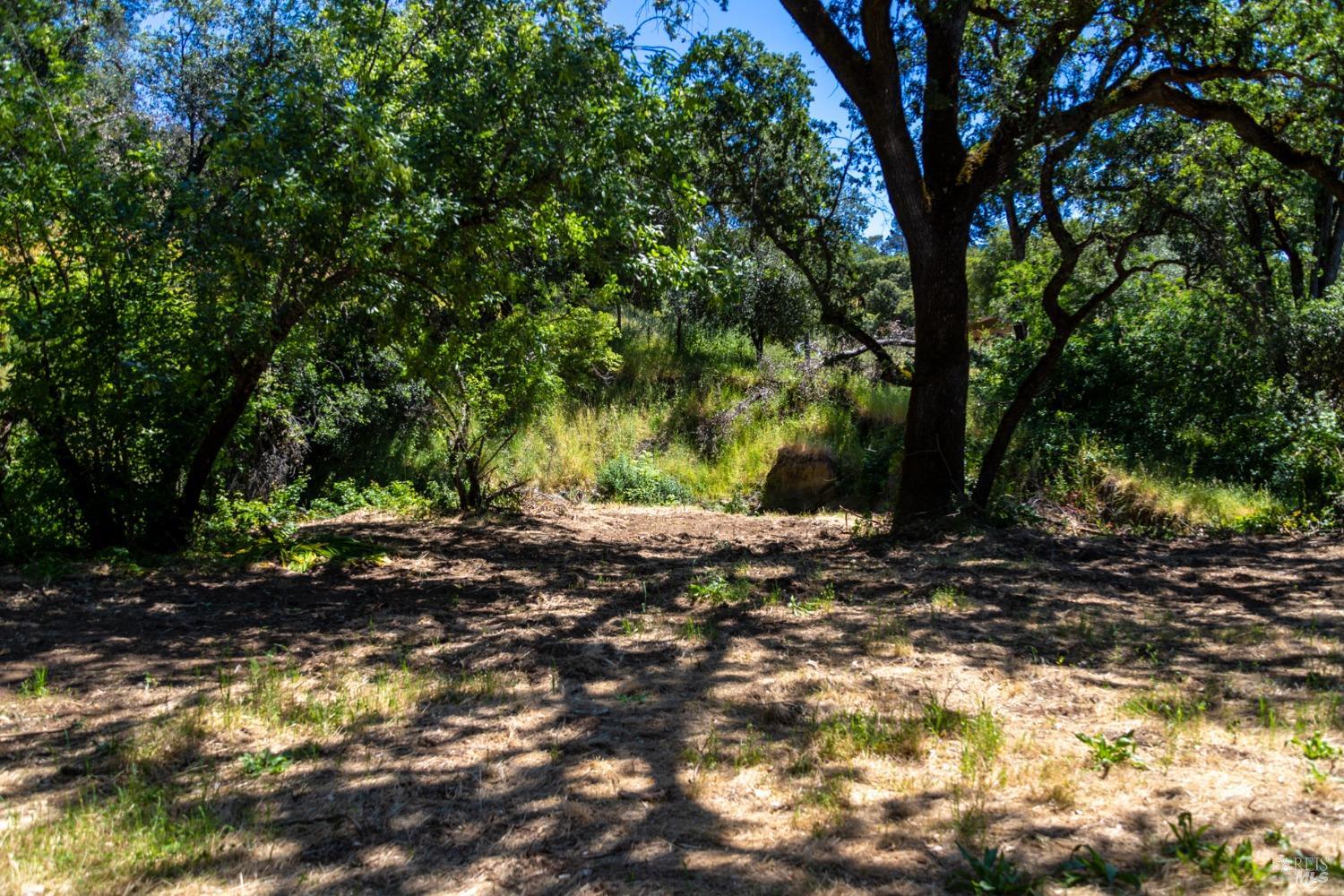 0 University Street, Unit A Cloverdale, CA 95425 - Photo 3 of 15 a view of a tree in the middle of a yard