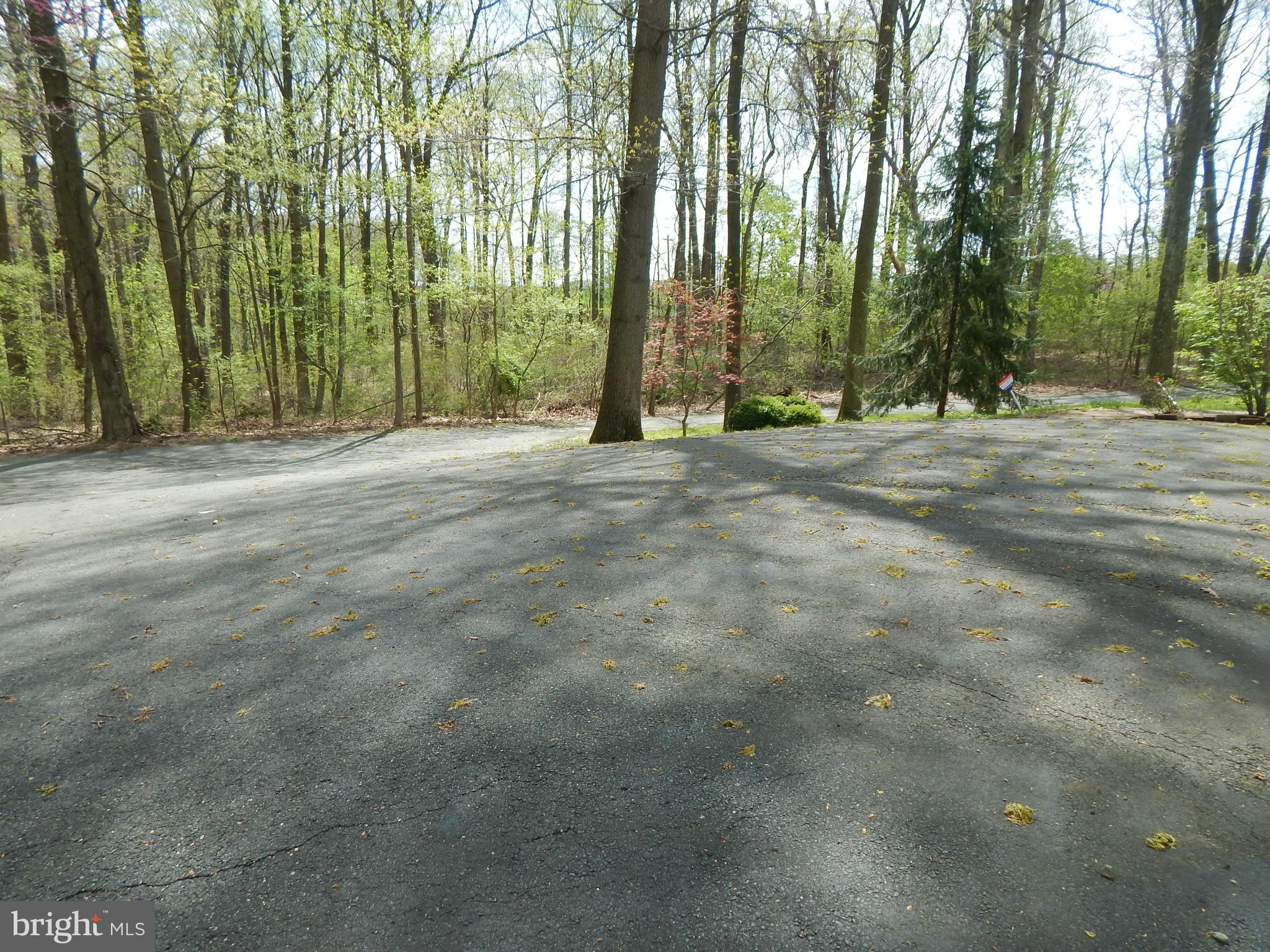 3964 Street Road Street, MD 21154 - Photo 11 of 29 a view of a yard with large trees