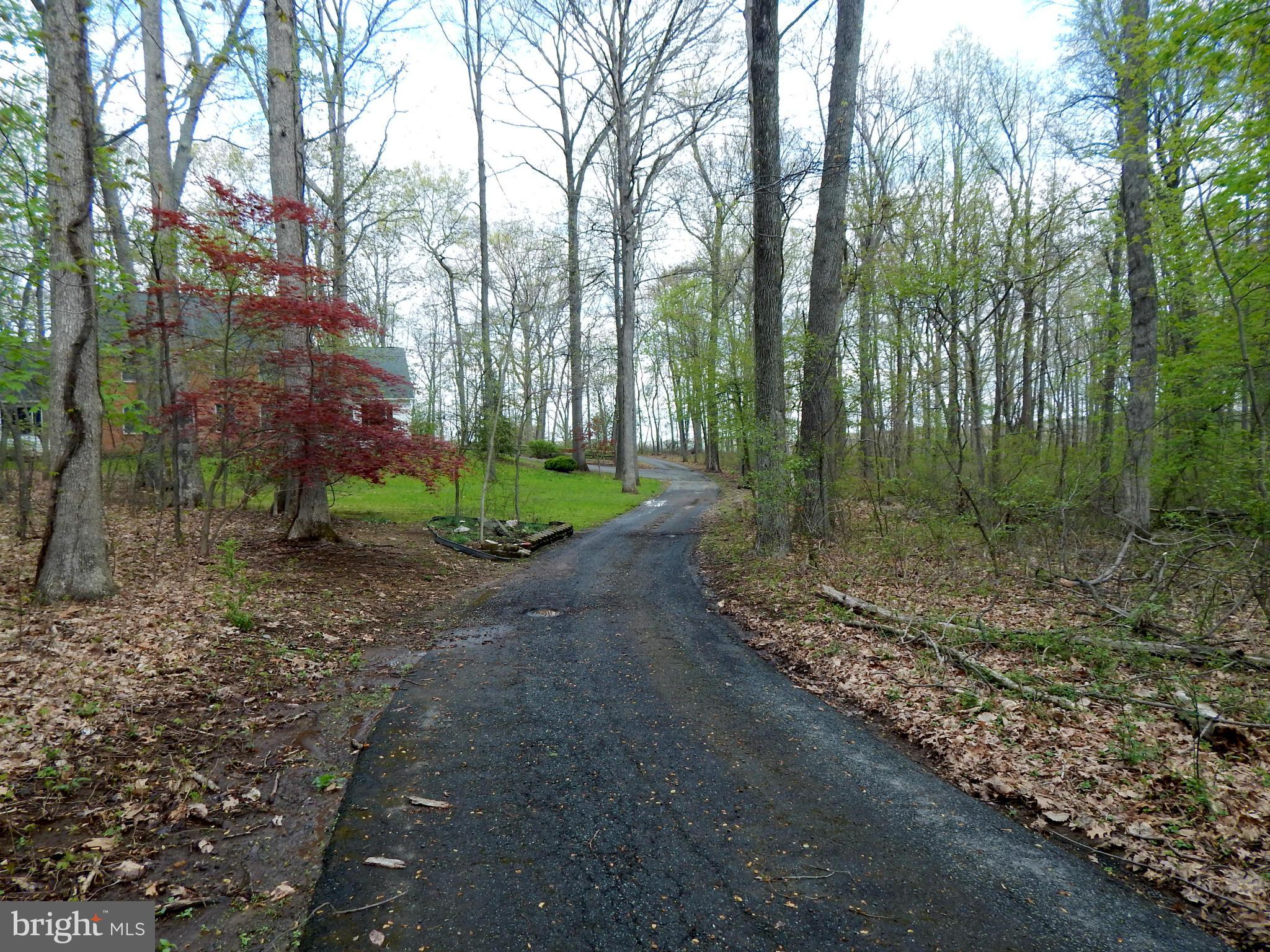 3964 Street Road Street, MD 21154 - Photo 12 of 29 a view of a forest filled with trees