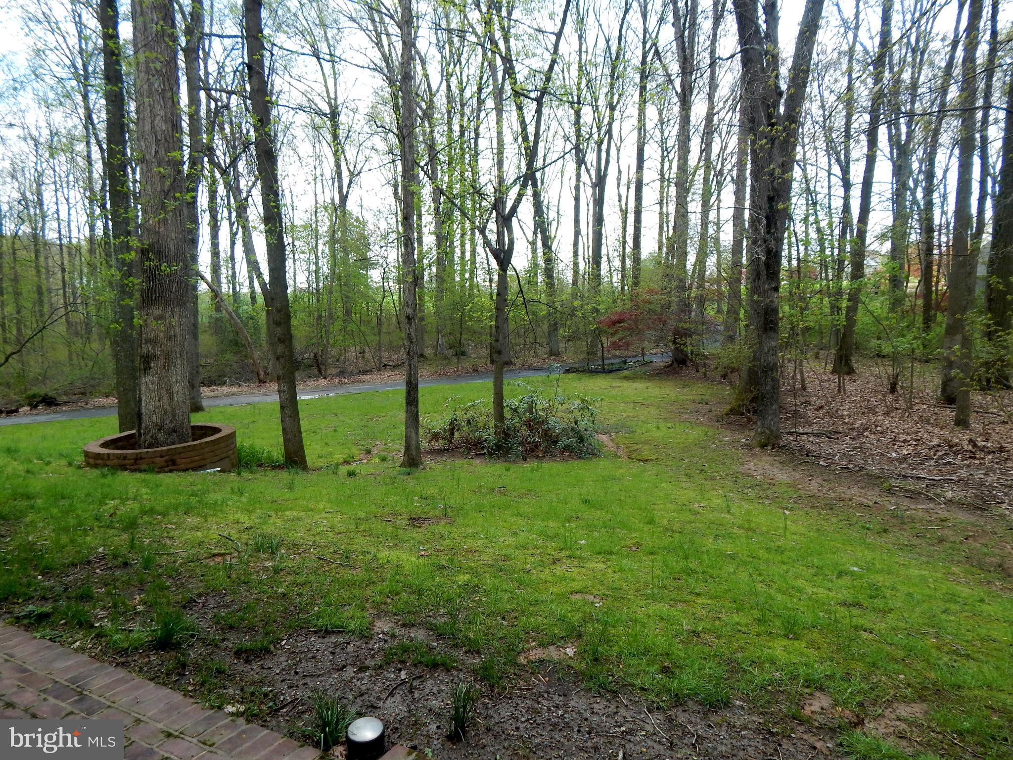 3964 Street Road Street, MD 21154 - Photo 8 of 29 a view of a park with large trees
