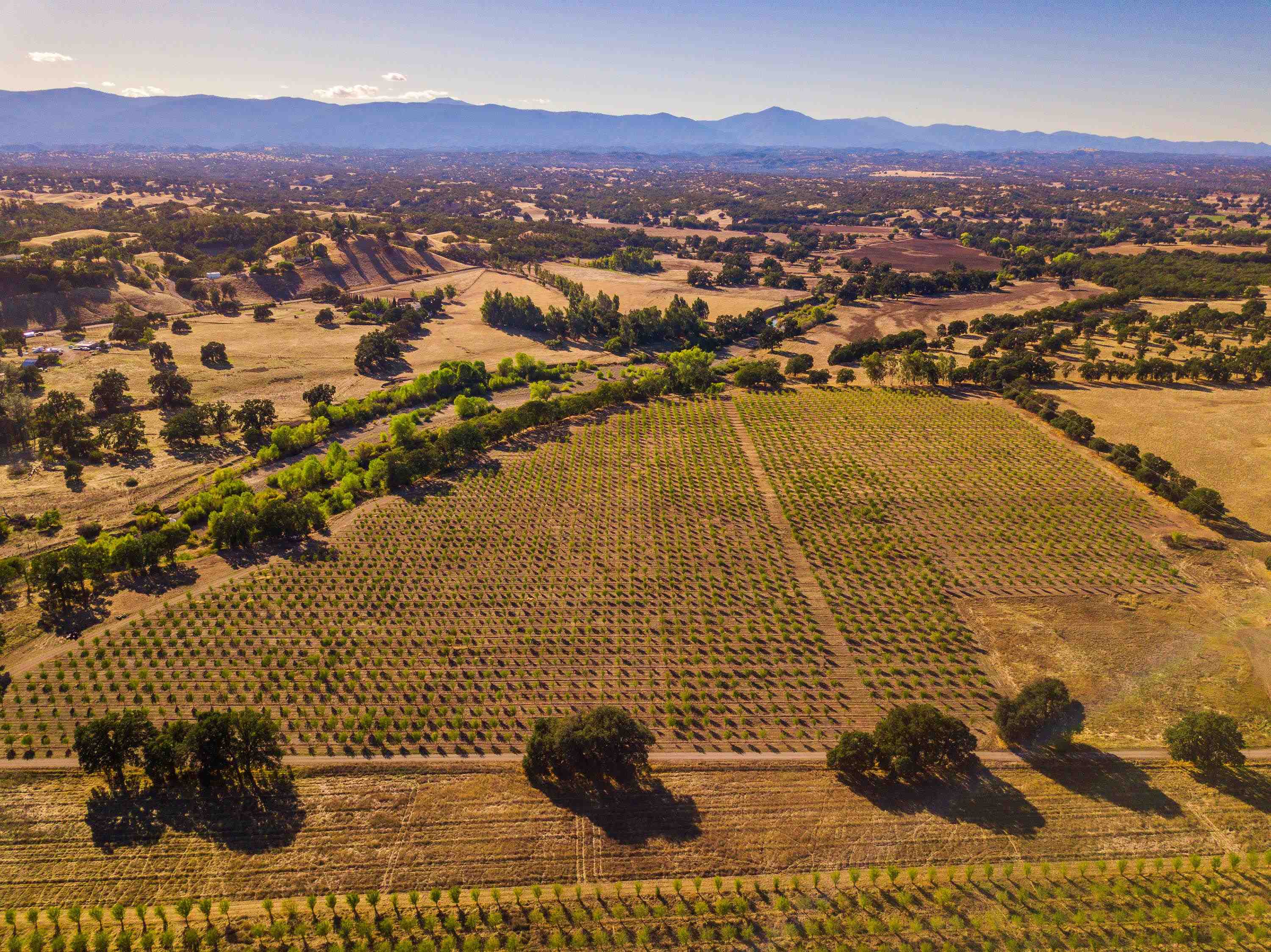 10370 Briggs Road Red Bluff, CA 96080 - Photo 1 of 14