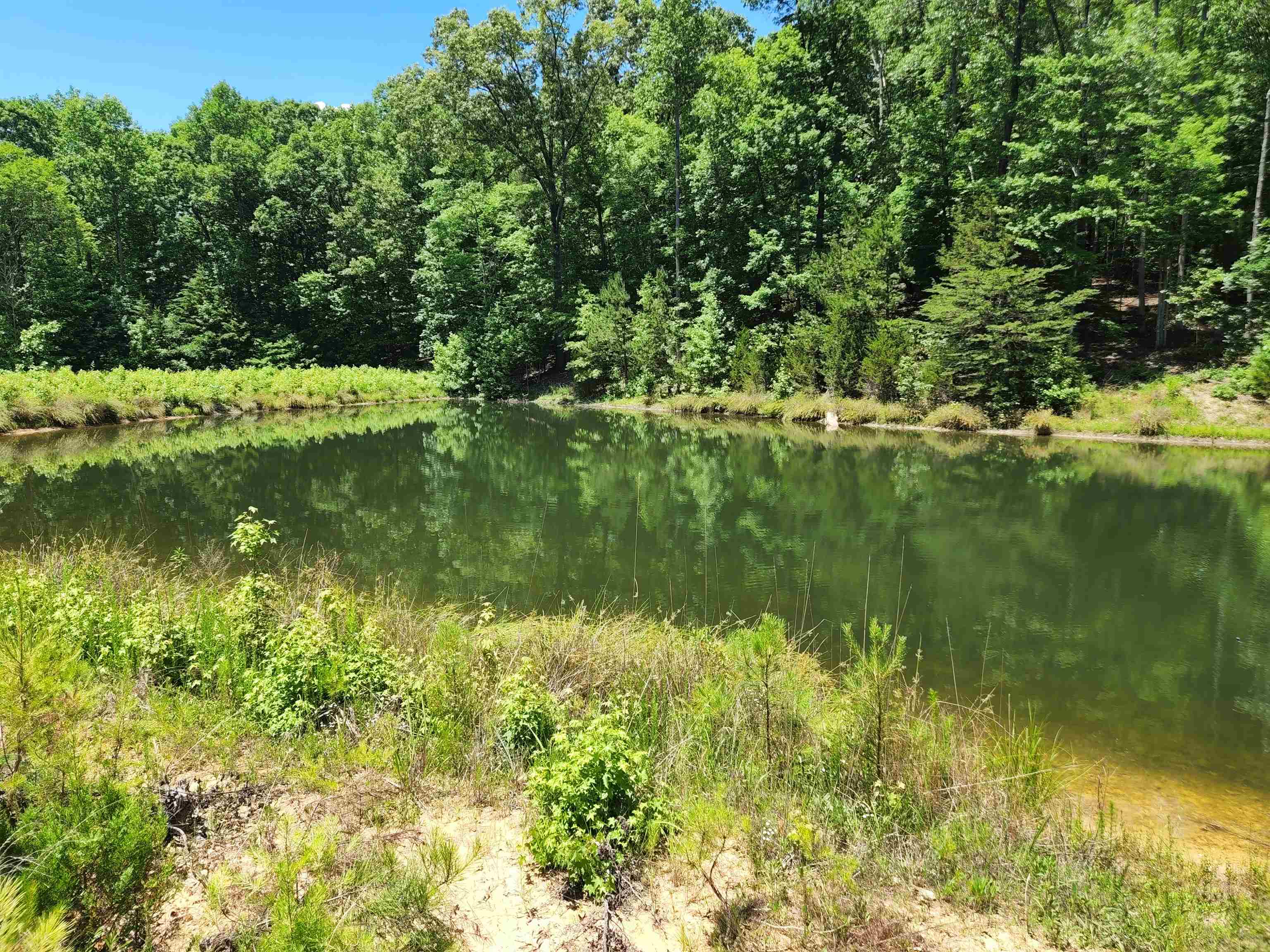 630 Walnut Grove Road Roebuck, SC 29376 - Photo 2 of 5