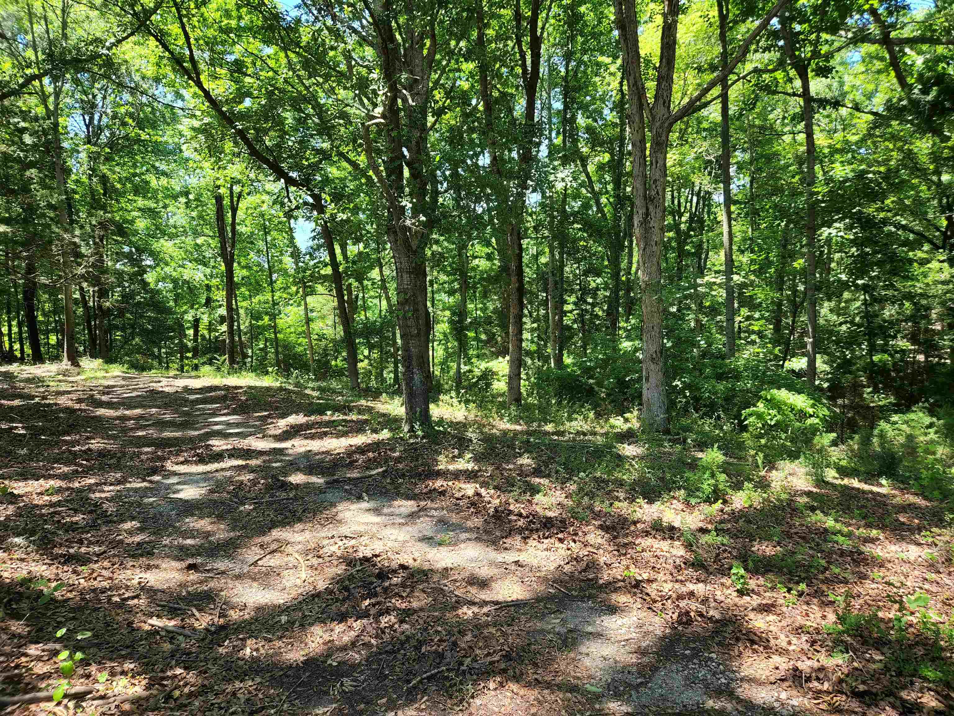 630 Walnut Grove Road Roebuck, SC 29376 - Photo 4 of 5