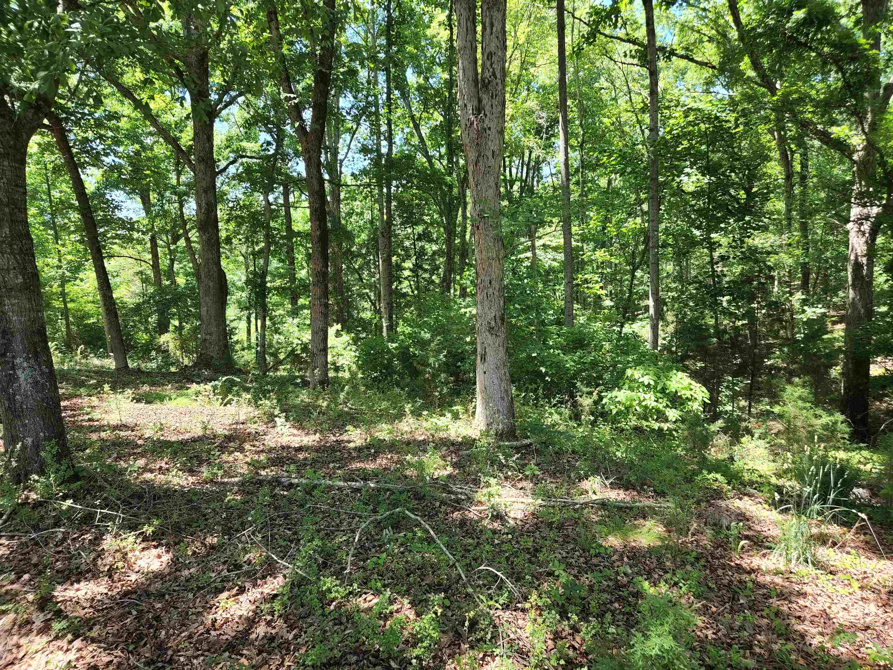 630 Walnut Grove Road Roebuck, SC 29376 - Photo 5 of 5