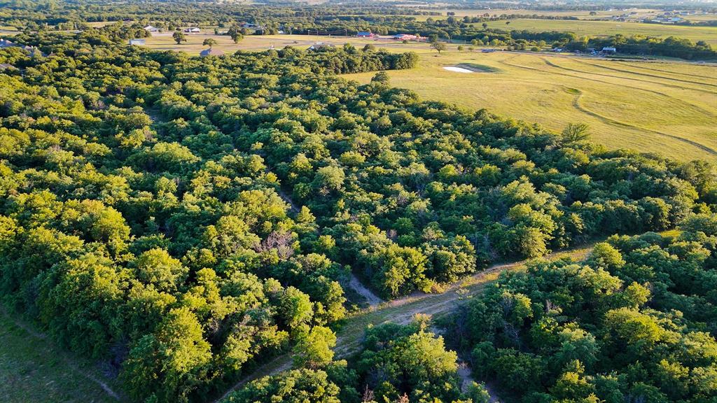 18100 Farm To Market 920 Poolville, TX 76487 - Photo 10 of 32