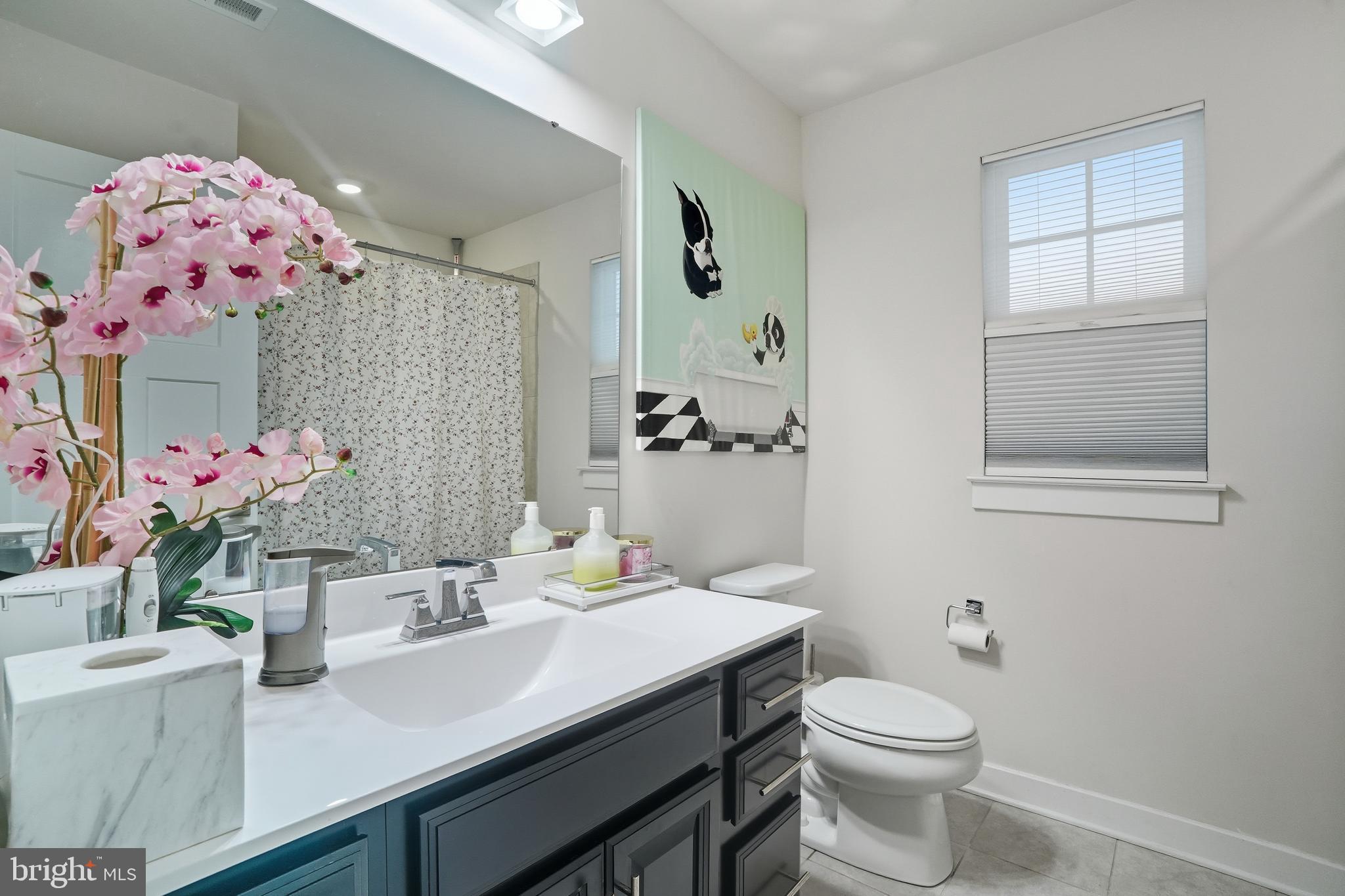 214 Pixie Moss Road Pottstown, PA 19464 - Photo 20 of 27 a bathroom with a sink mirror and vanity