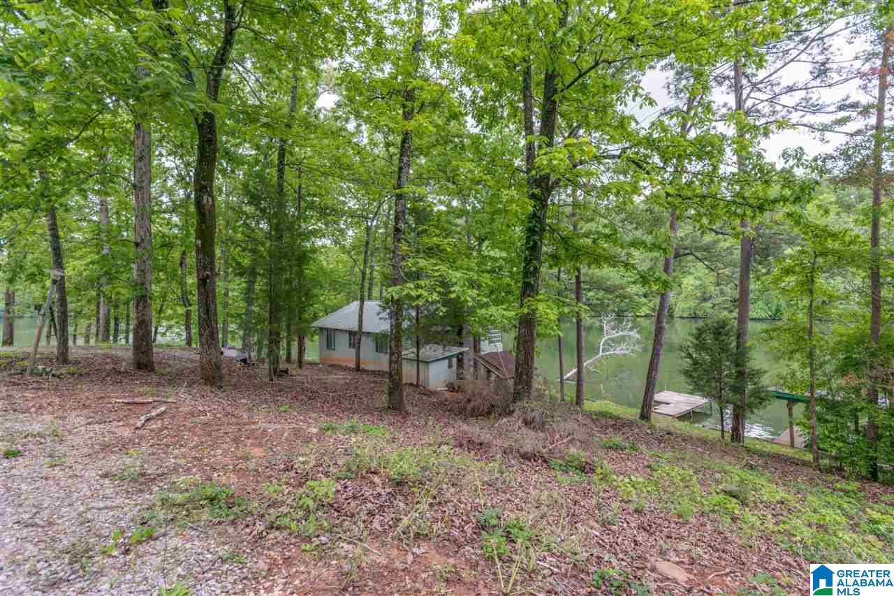 1631 County Road 485 Clanton, AL 35046 - Photo 12 of 15