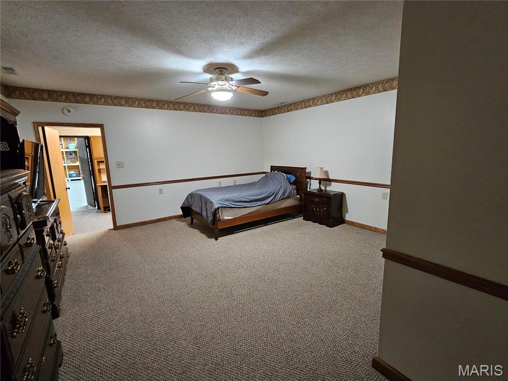 103 East Broad Street Raymond, IL 62560 - Photo 29 of 49