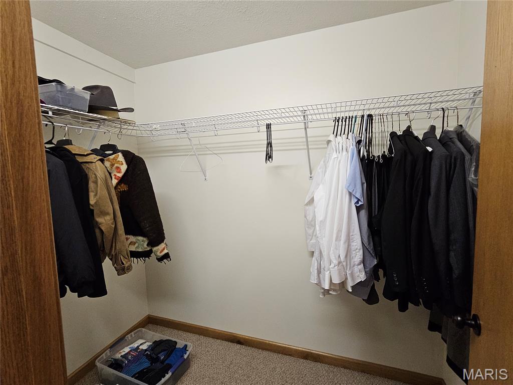 103 East Broad Street Raymond, IL 62560 - Photo 33 of 49