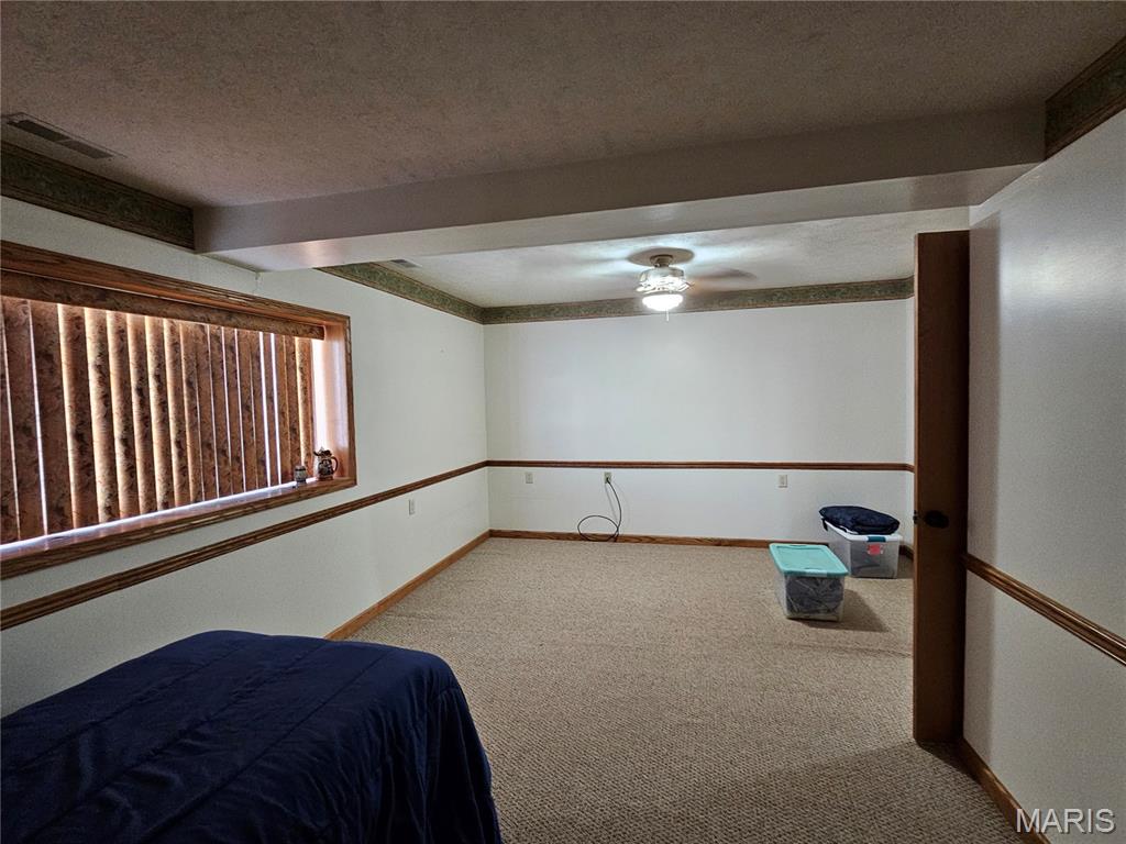 103 East Broad Street Raymond, IL 62560 - Photo 35 of 49