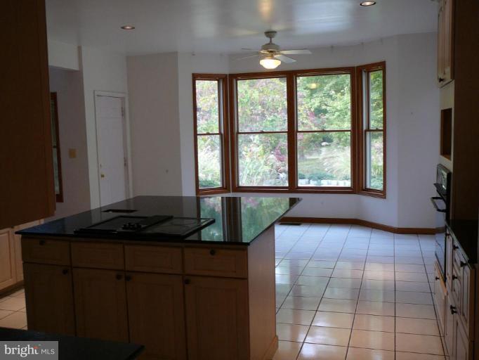 12507 Marlow Road Fulton, MD 20759 - Photo 9 of 13 Kitchen #2