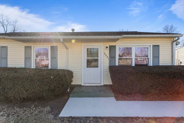 a living room with a couch and a potted plant