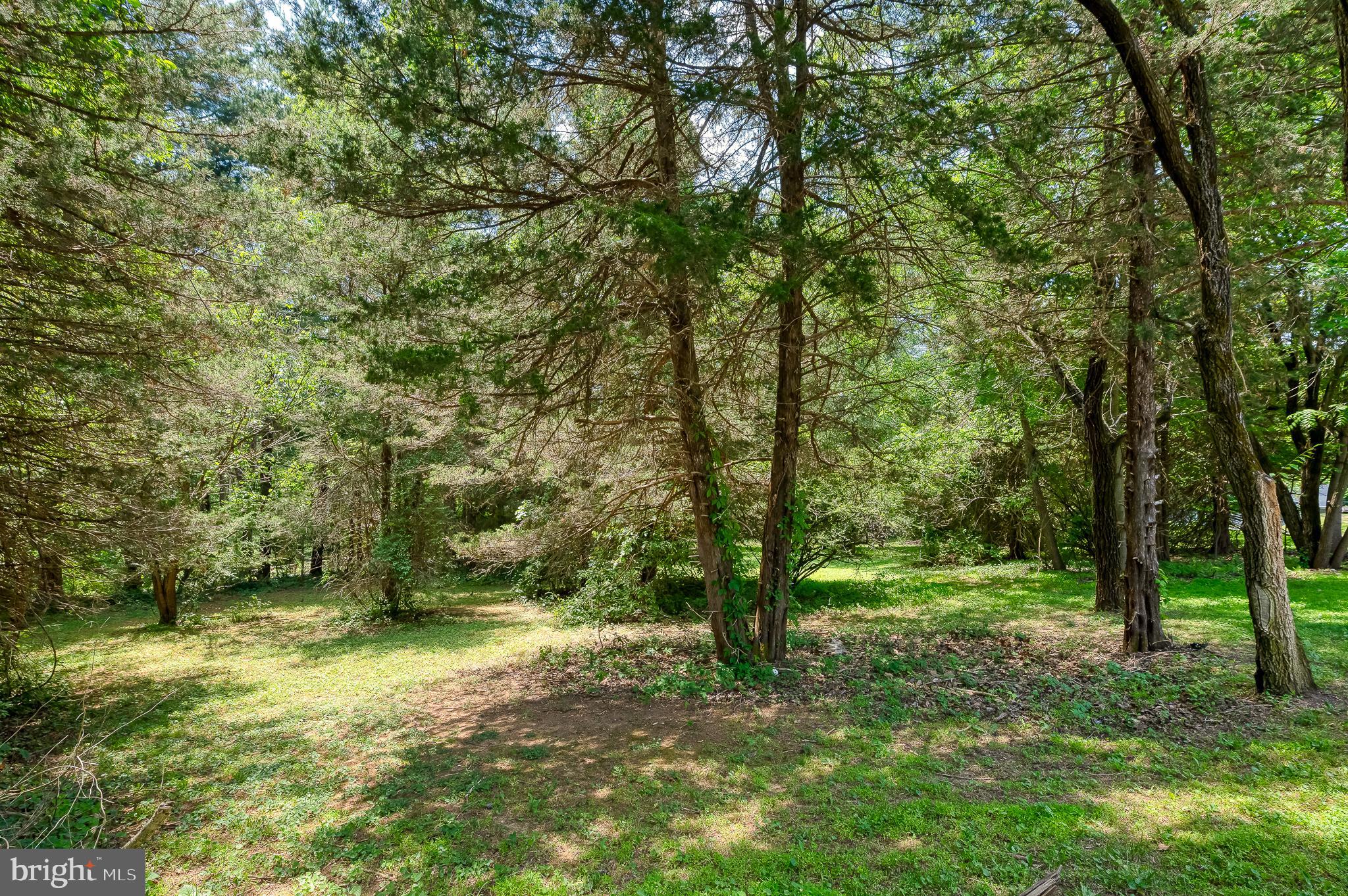 305 Crowl Road Westminster, MD 21158 - Photo 54 of 55 a view of outdoor space and trees
