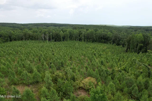 $399,840 | 481 County Road, Paris, MS 38949