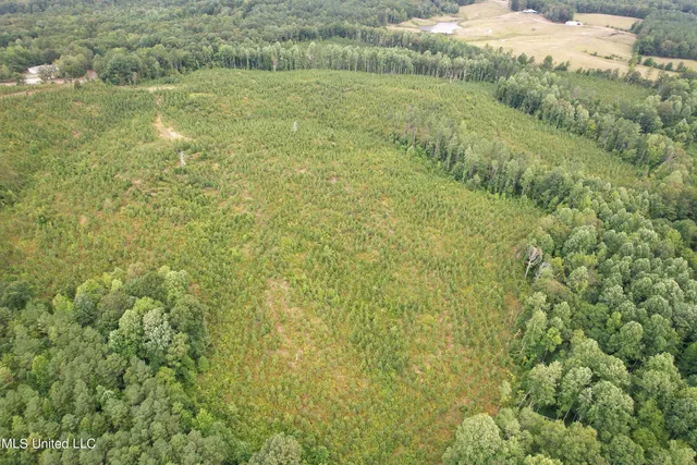 $399,840 | 481 County Road, Paris, MS 38949