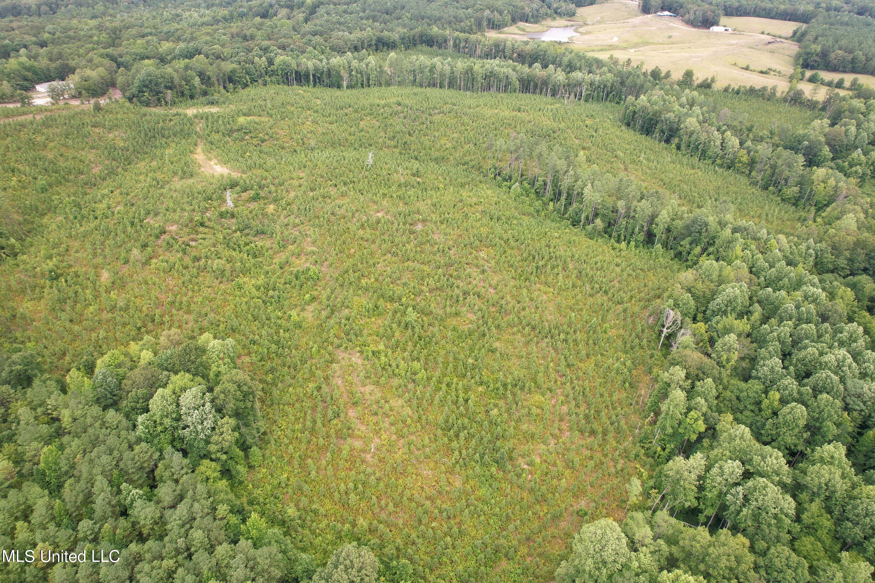 481 County Road Paris, MS 38949 - Photo 3 of 5 DJI_0661