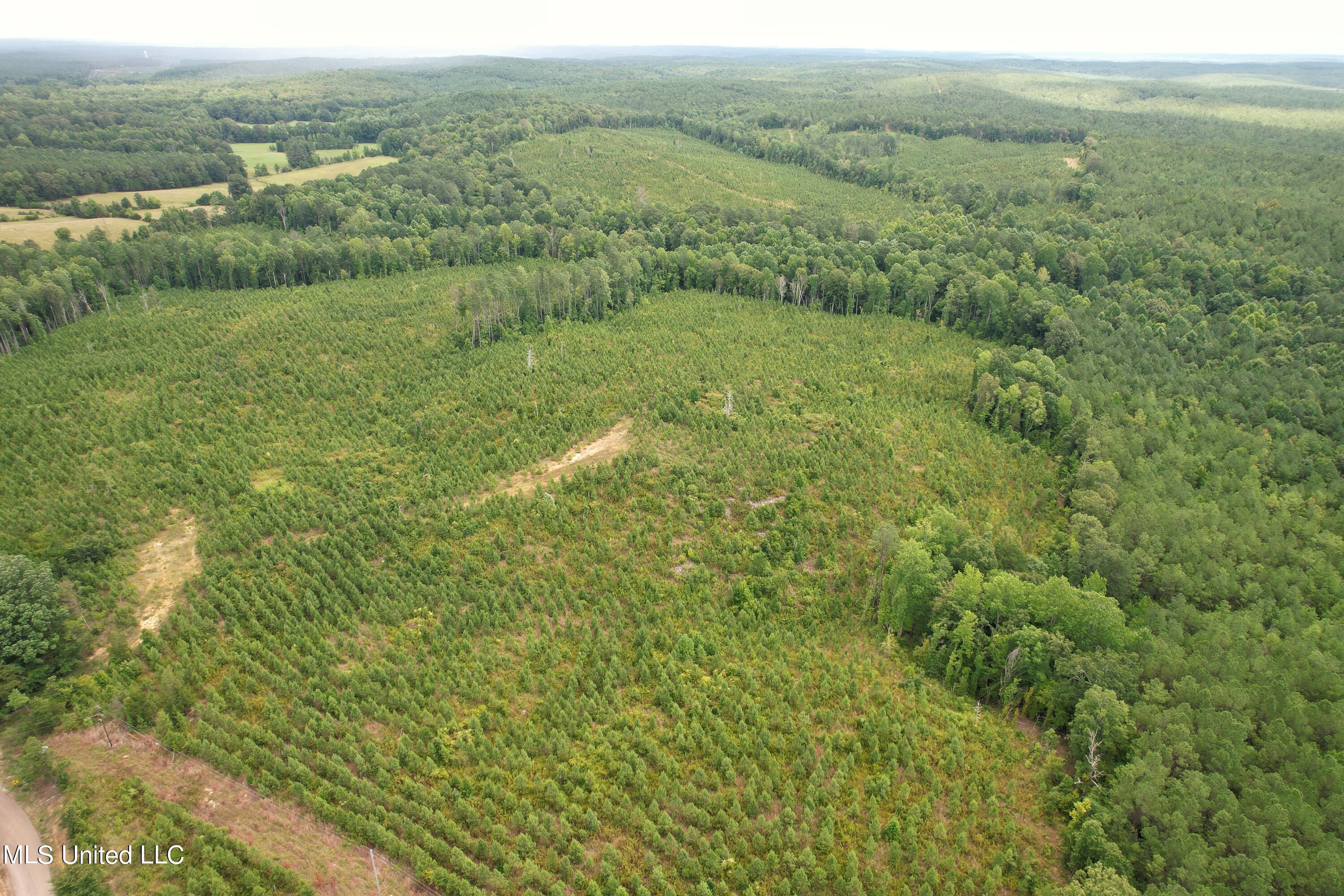 481 County Road Paris, MS 38949 - Photo 4 of 5 DJI_0659