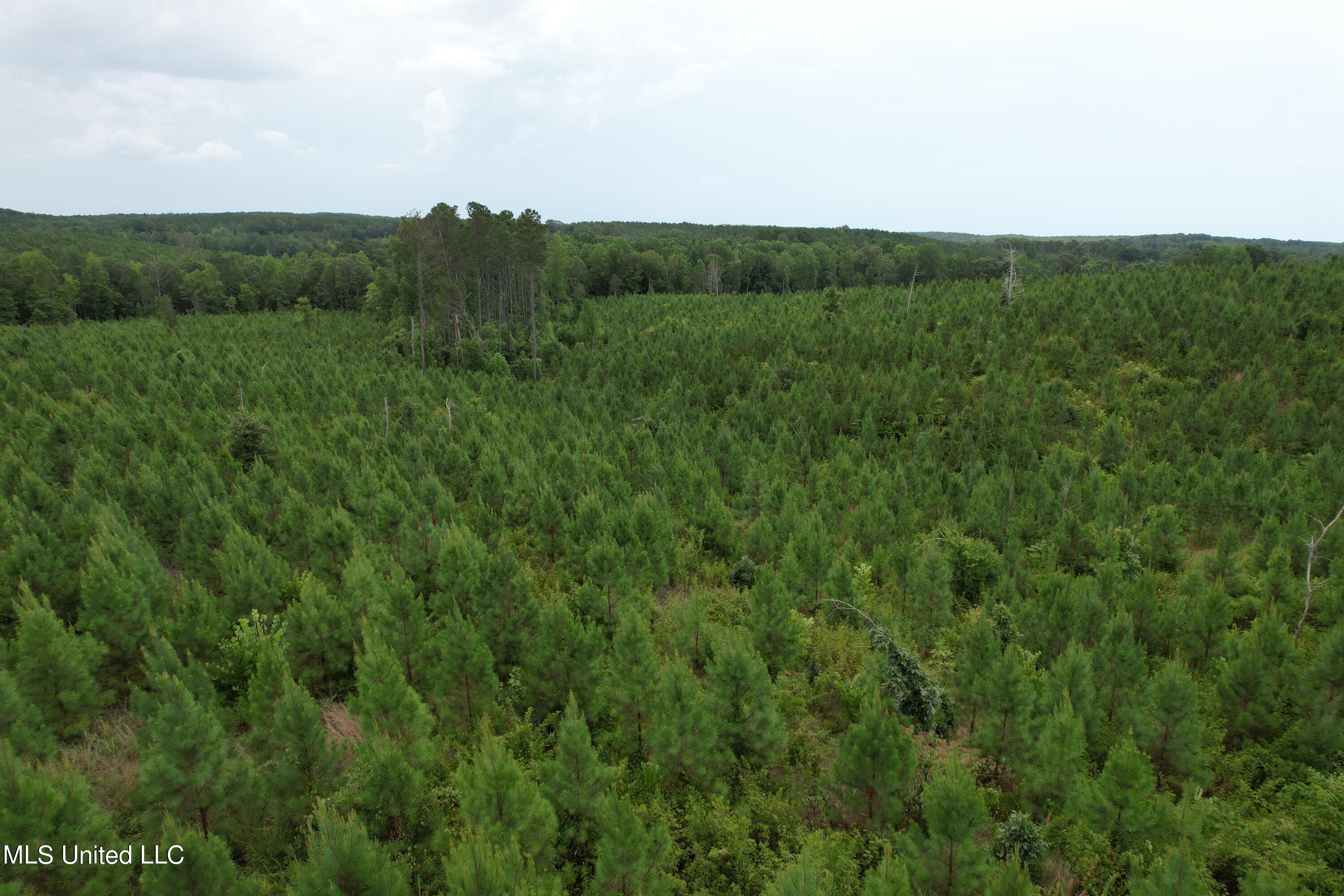 481 County Road Paris, MS 38949 - Photo 5 of 5 DJI_0664