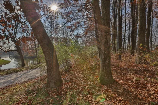 a view of a yard with plants and trees