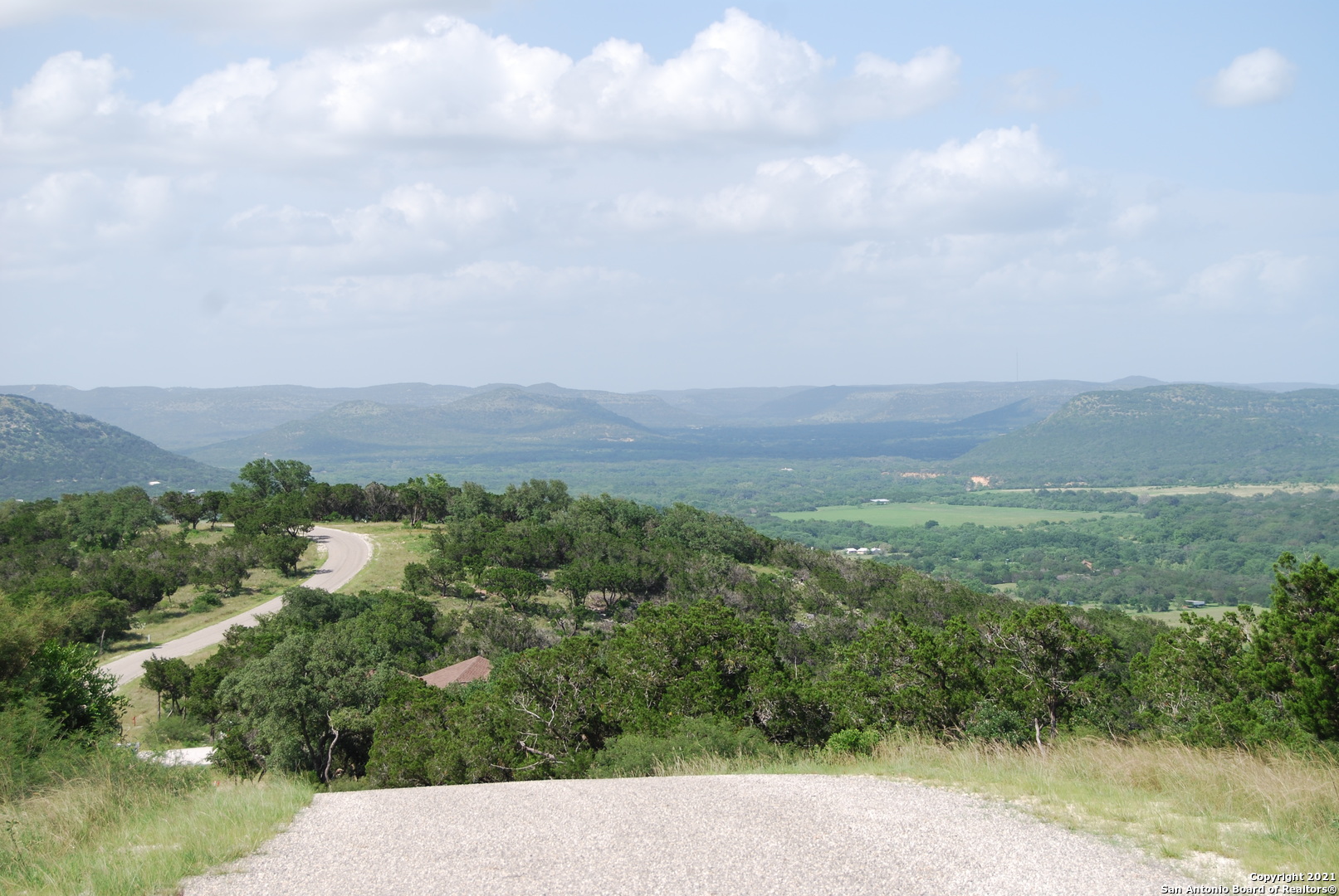 a view of a city with lush green forest