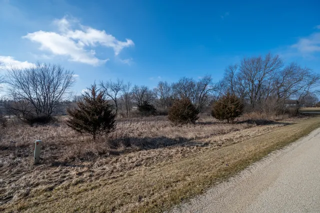 a view of a dry yard with trees