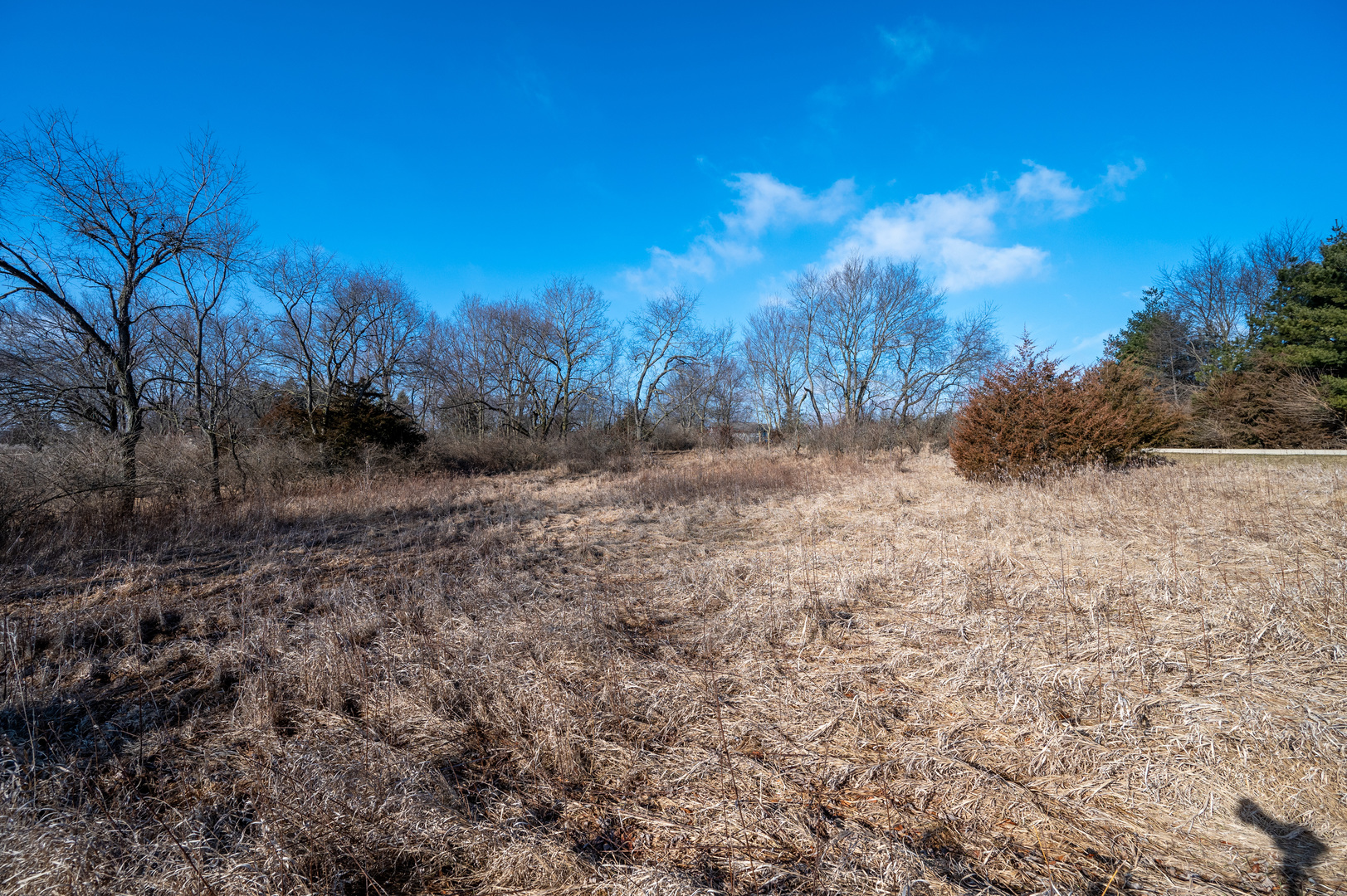 320 Vermillion Lane Dixon, IL 61021 - Photo 2 of 11 a view of a dry yard with trees