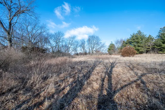 a view of a dry yard with trees