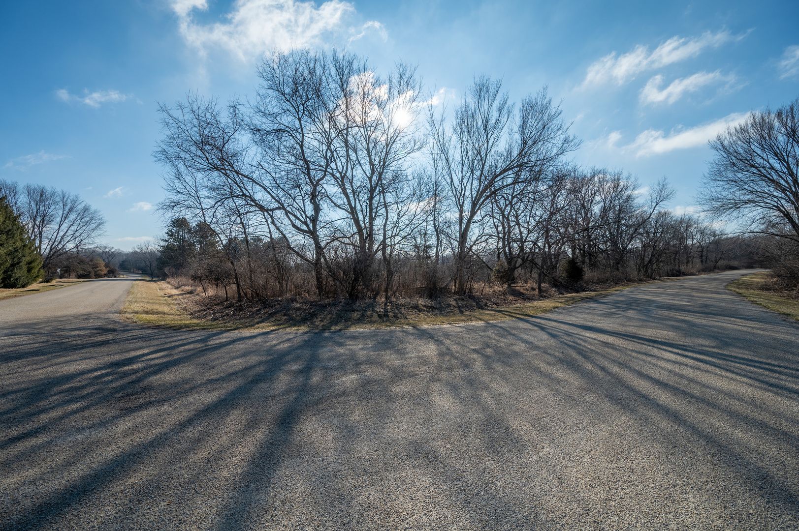 320 Vermillion Lane Dixon, IL 61021 - Photo 4 of 11 a view of dirt field with trees