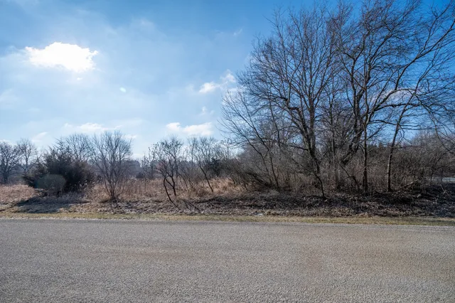 a view of a yard with a tree