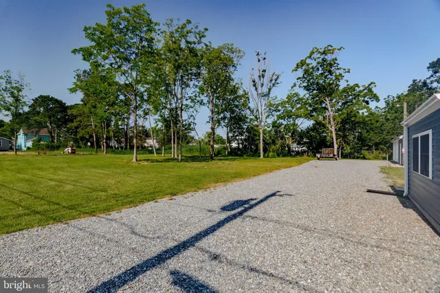 a view of a park with large trees