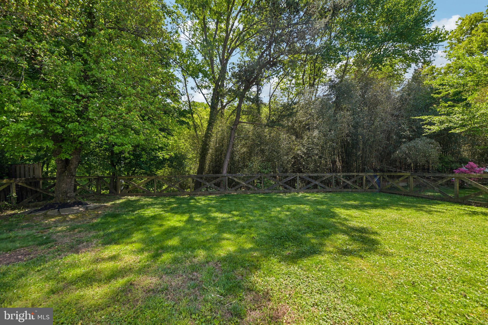 31 South Edison Street Arlington, VA 22204 - Photo 59 of 60 a view of backyard with green space