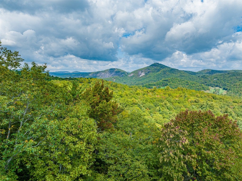 Lot 21 Southeast Ridge Road Cashiers, NC 28717 - Photo 3 of 10 Gallery Image 3