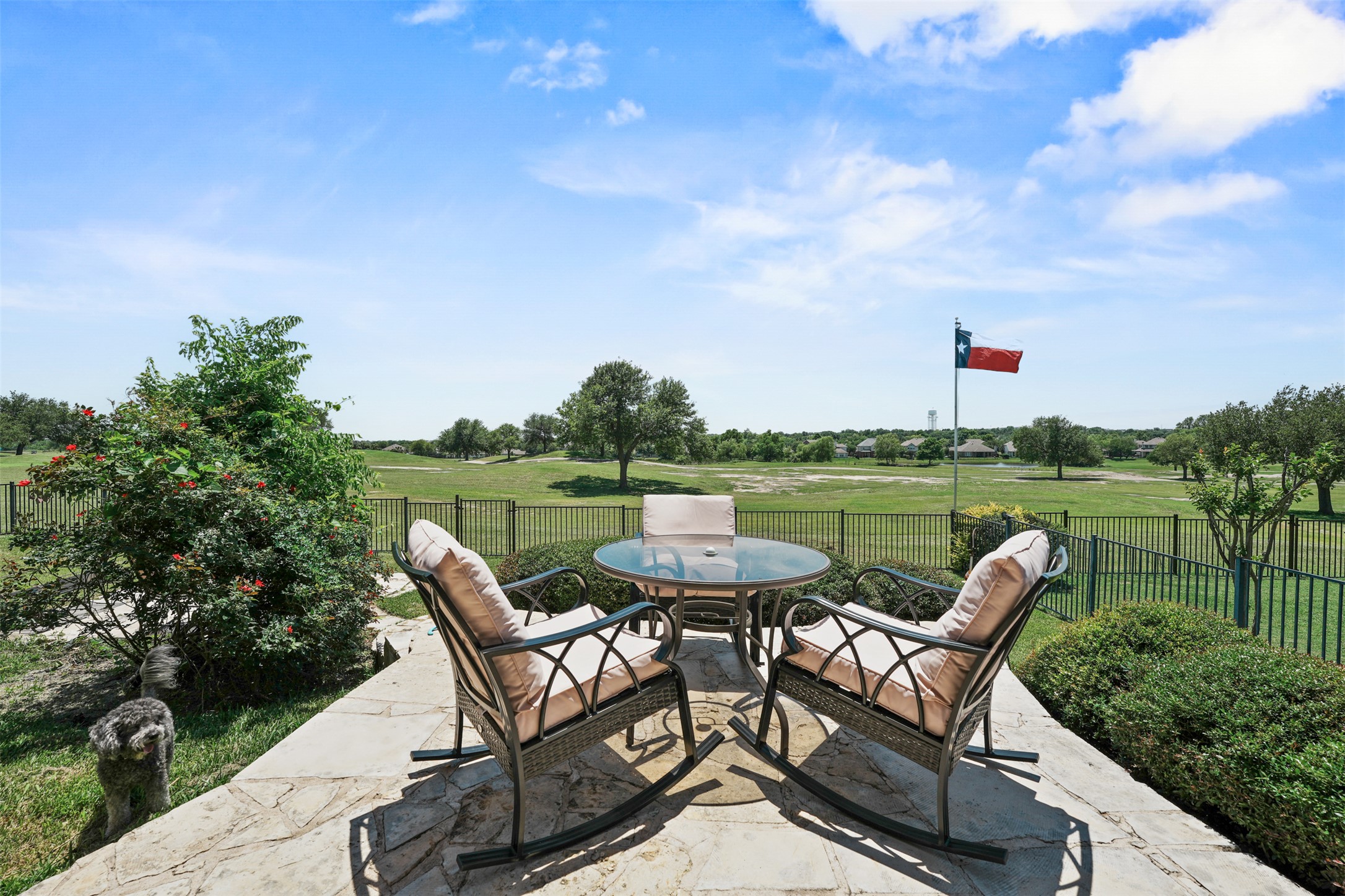 2521 Amen Corner Road Pflugerville, TX 78660 - Photo 32 of 40 Stone patio featuring an ornamental metal fence and mature landscaping overlooking a expansive green space
