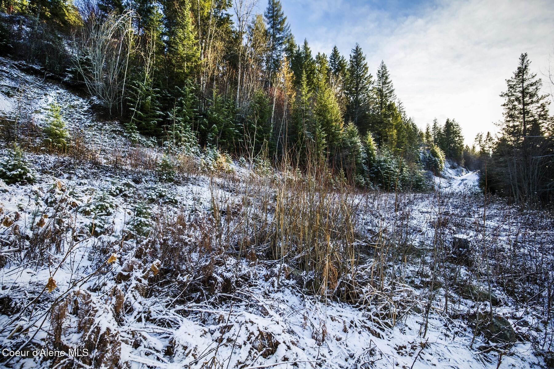 Lot 2 Forever View Road Sagle, ID 83860 - Photo 28 of 40 Expand the Build Site