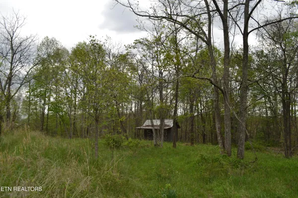$3,575,000 | 0 North Deer Lodge Highway, Deer Lodge, TN 37726