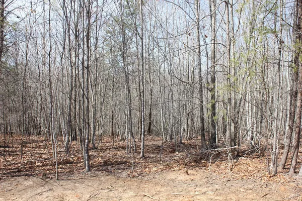 a view of a backyard of the house