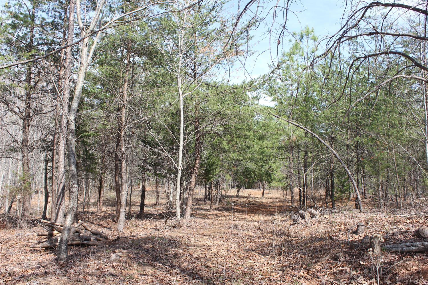 0 Summerset Road North Gretna, VA 24557 - Photo 15 of 24