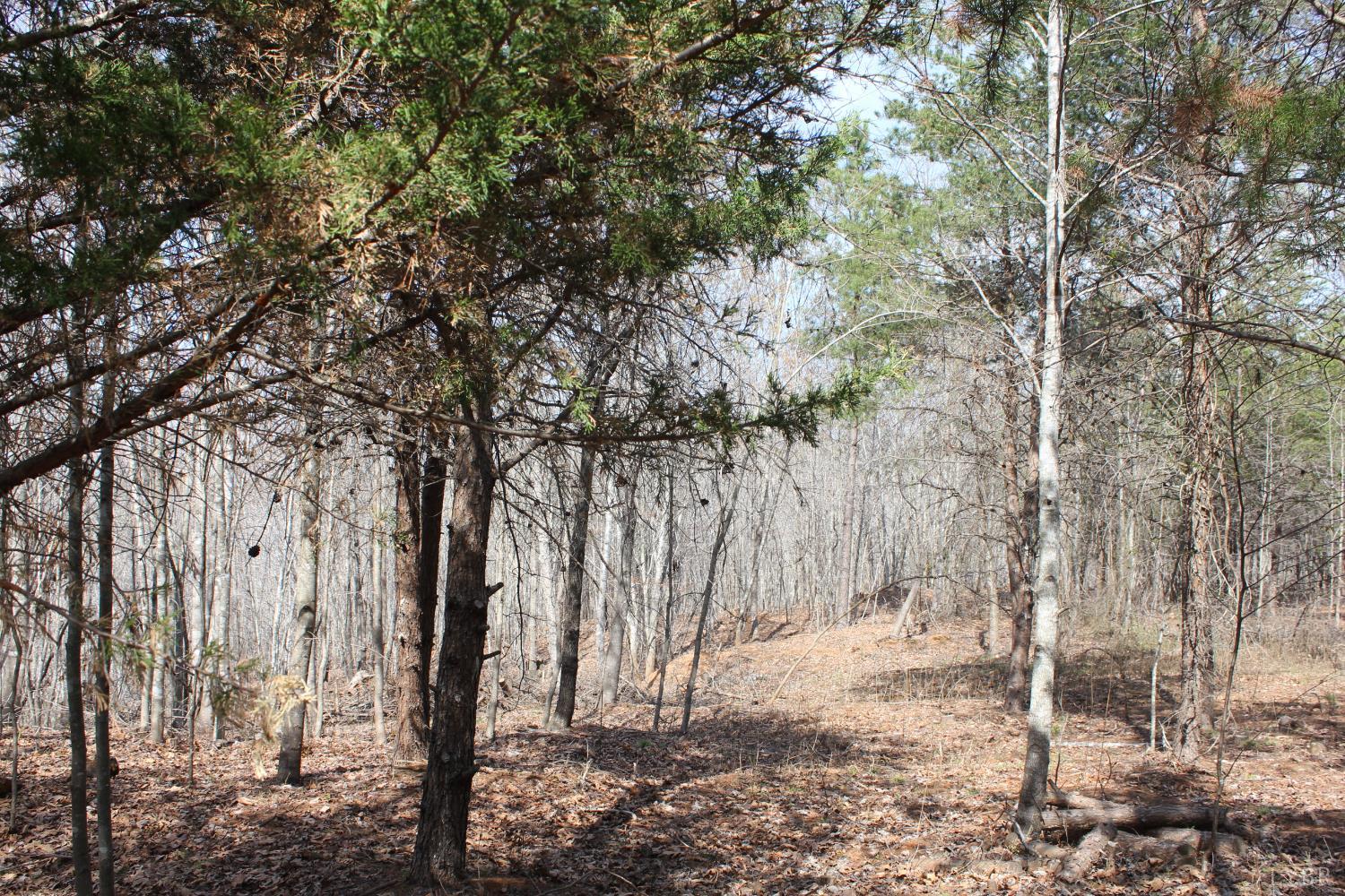 0 Summerset Road North Gretna, VA 24557 - Photo 17 of 24