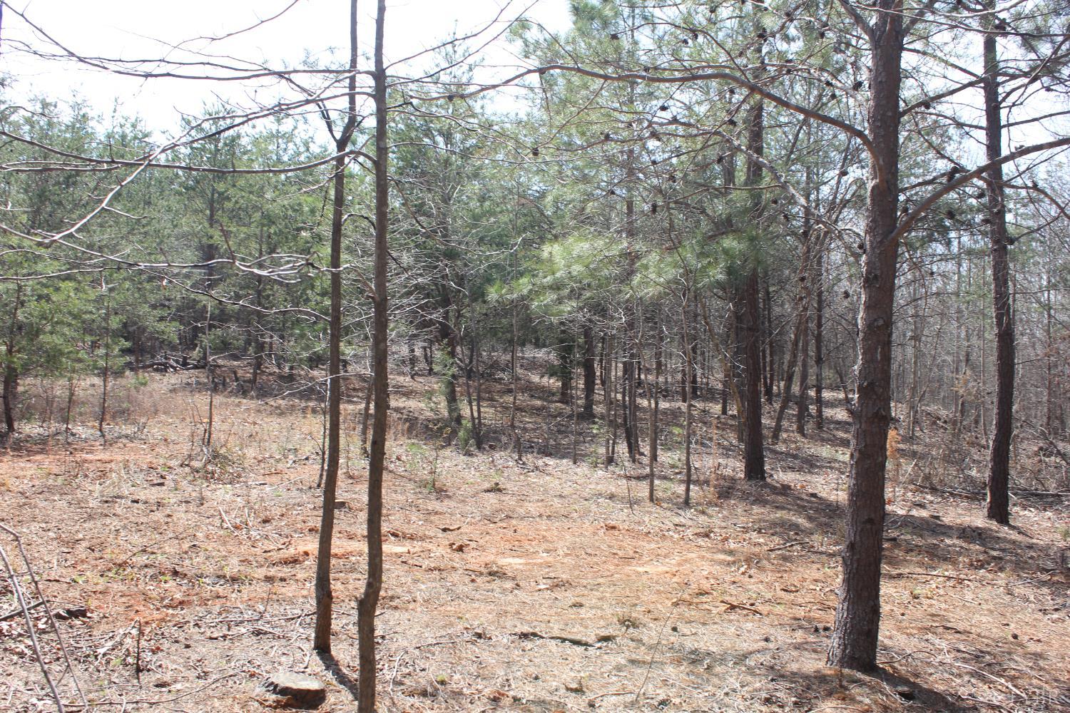 0 Summerset Road North Gretna, VA 24557 - Photo 19 of 24