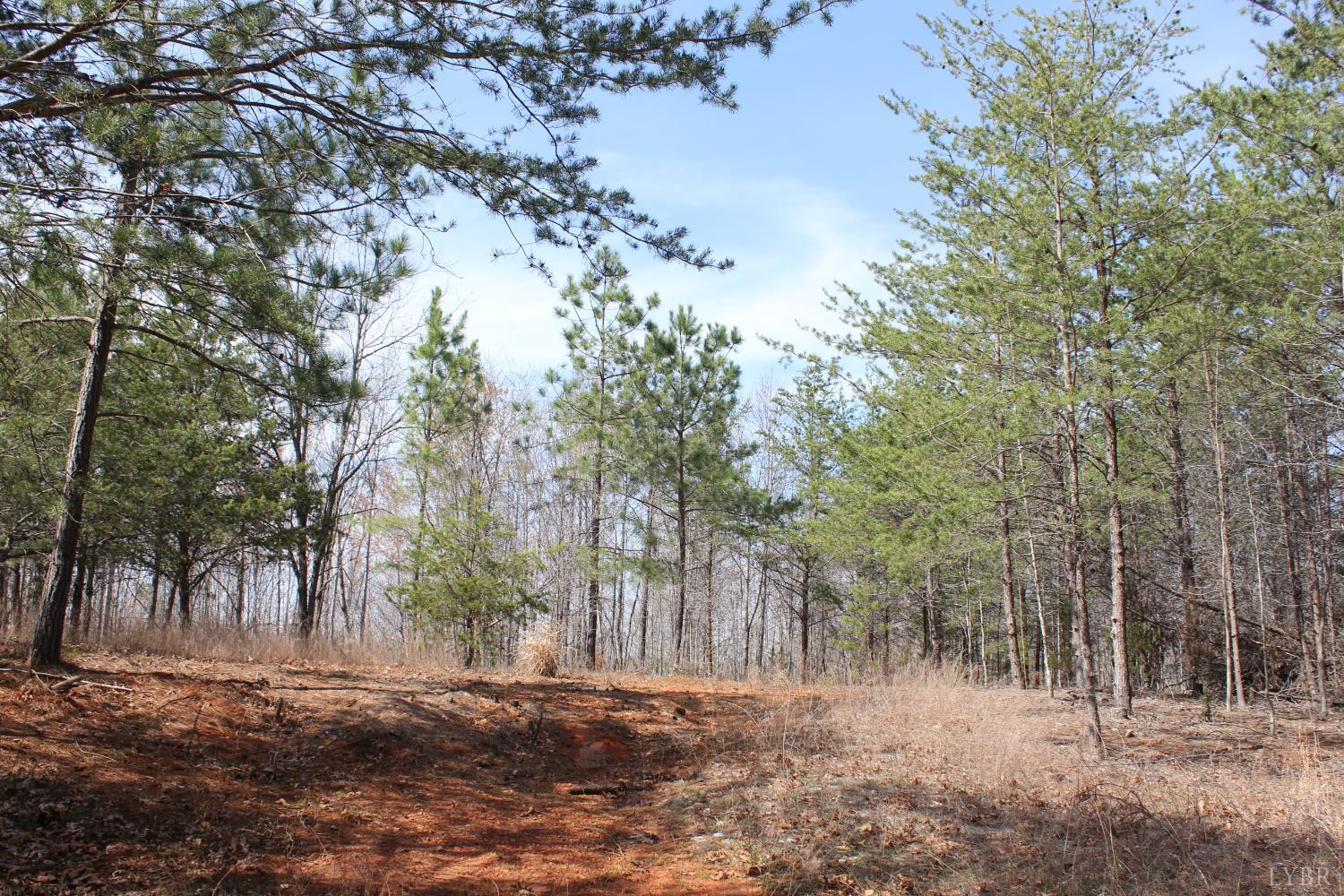 0 Summerset Road North Gretna, VA 24557 - Photo 20 of 24