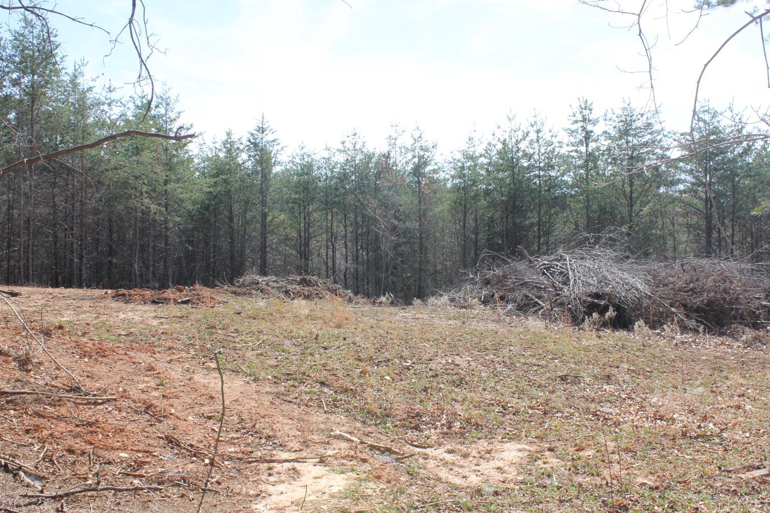 0 Summerset Road North Gretna, VA 24557 - Photo 6 of 24