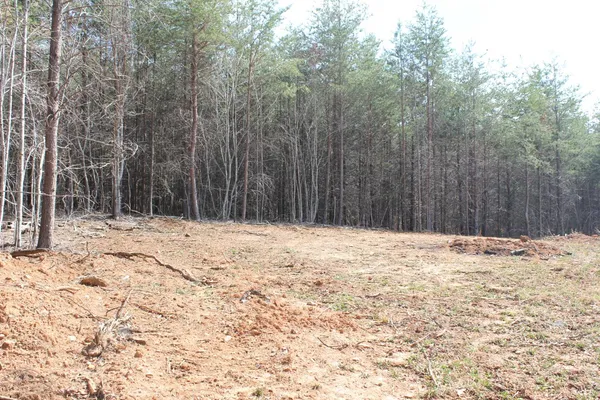 a view of a backyard of the house
