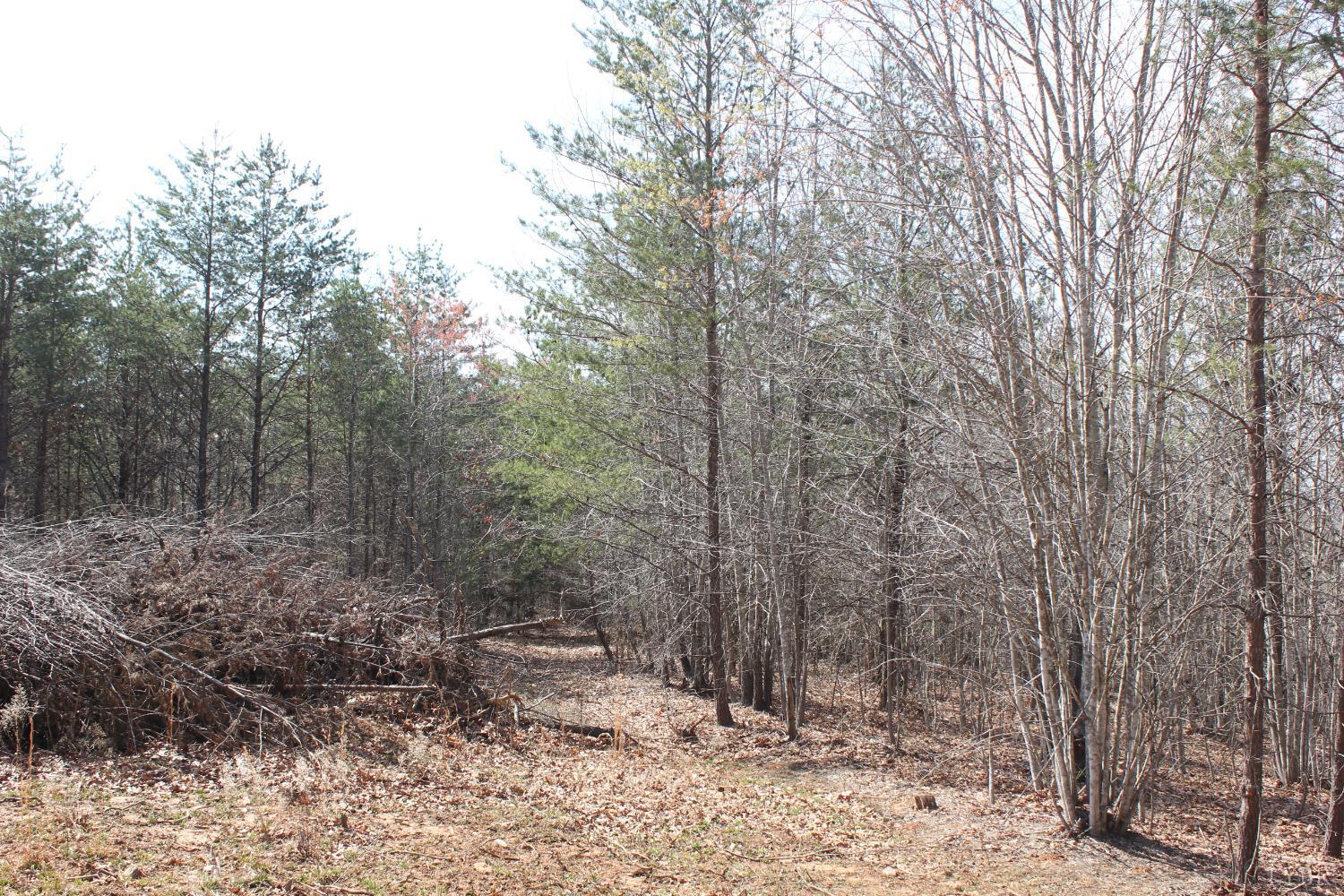 0 Summerset Road North Gretna, VA 24557 - Photo 8 of 24