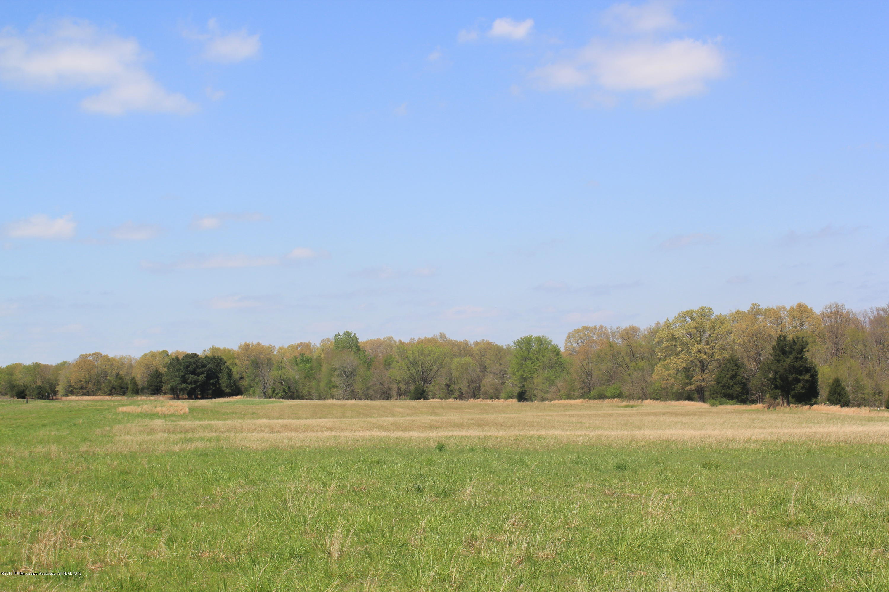 300 Early Grove Road Lamar, MS 38642 - Photo 18 of 20 018