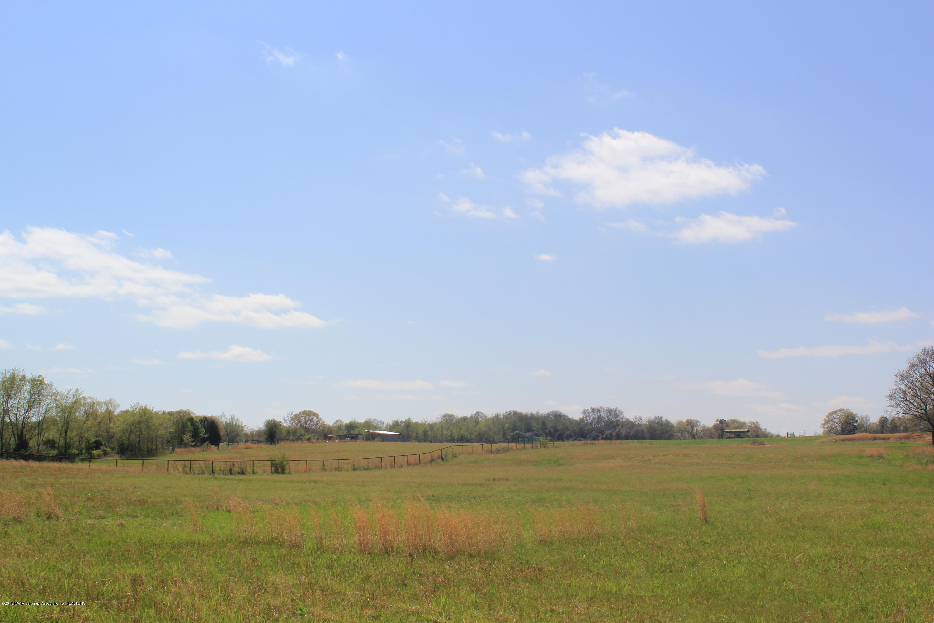 300 Early Grove Road Lamar, MS 38642 - Photo 4 of 20 004