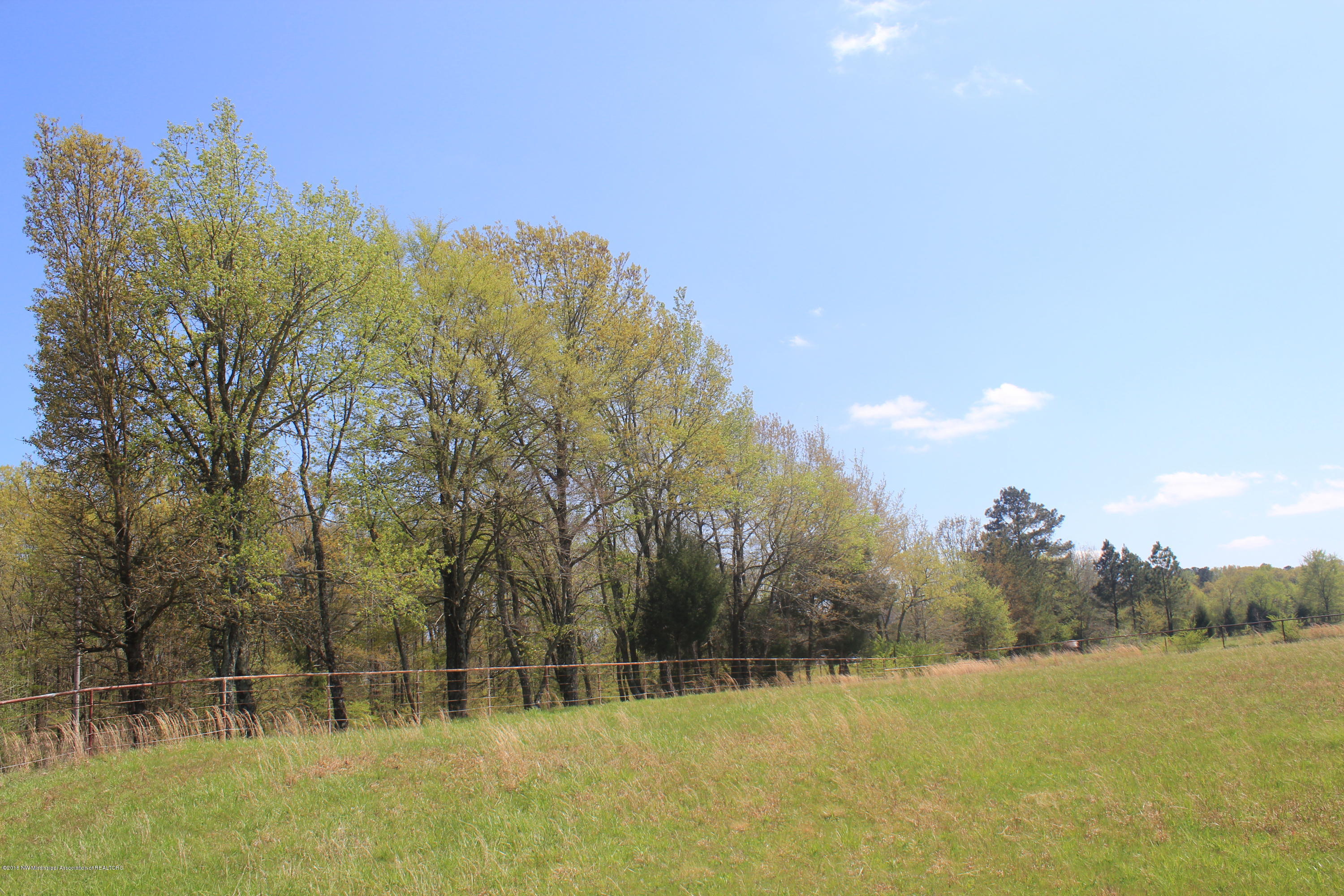 300 Early Grove Road Lamar, MS 38642 - Photo 5 of 20 005