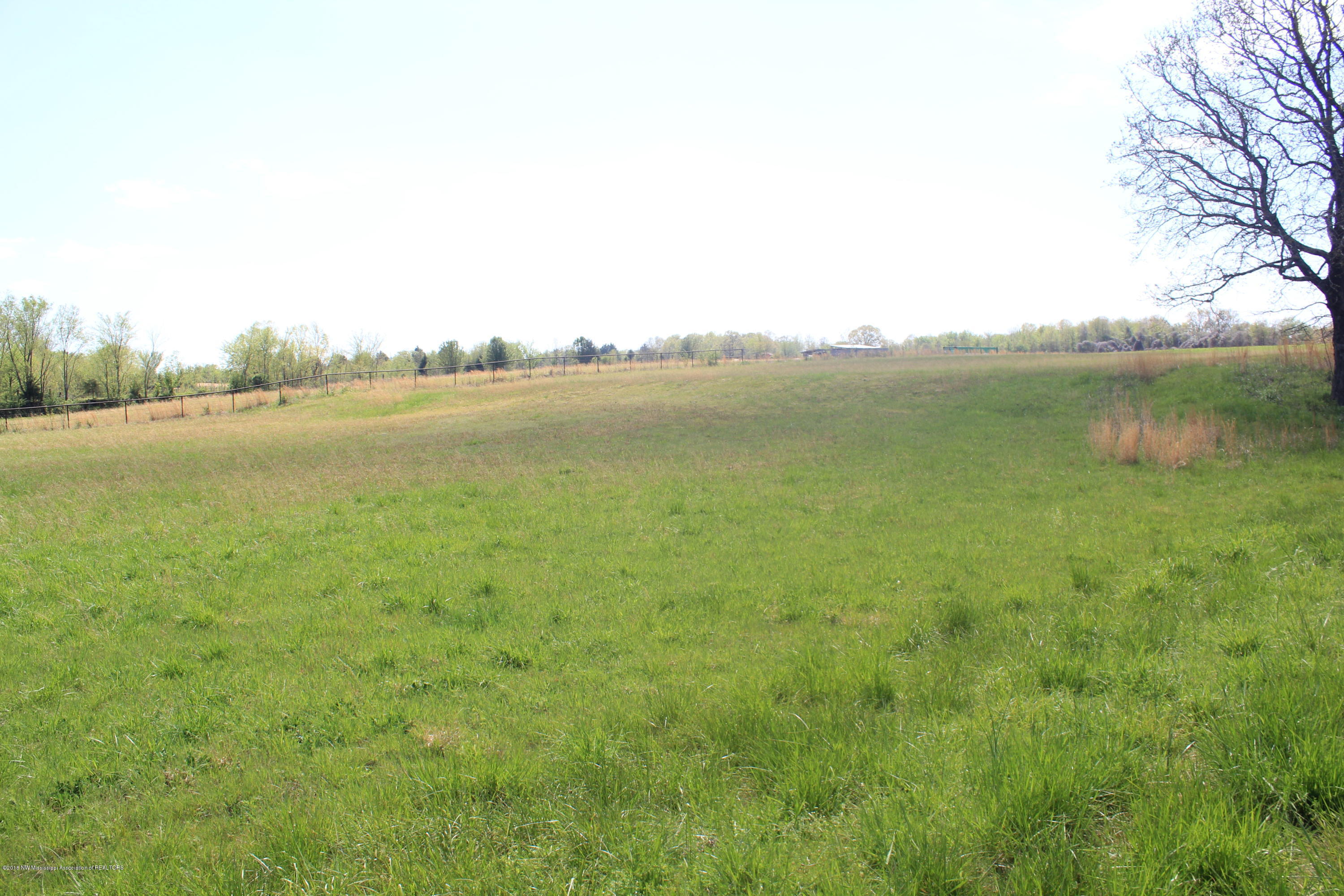 300 Early Grove Road Lamar, MS 38642 - Photo 8 of 20 008
