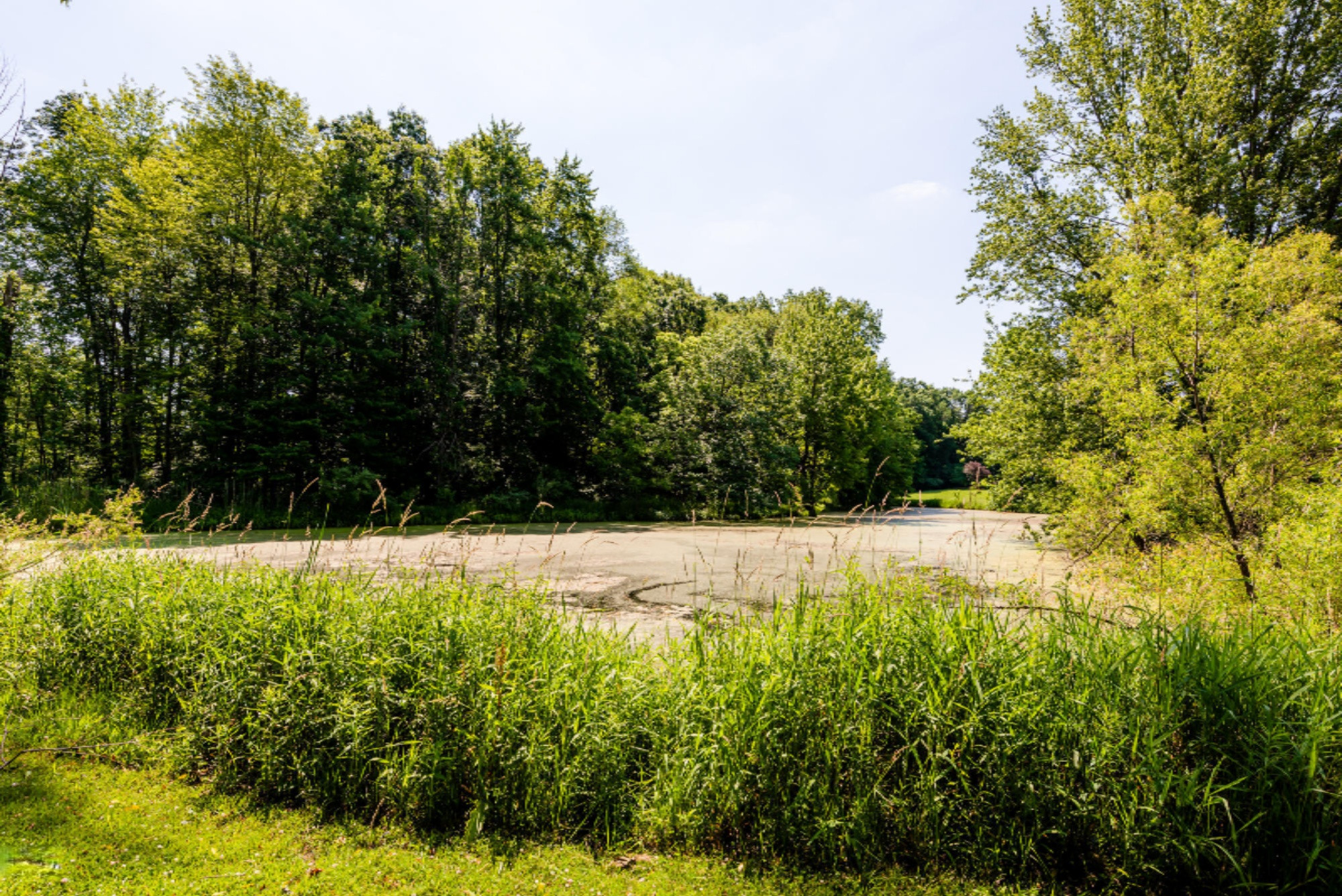 584 Mt Tabor Road Buchanan, MI 49107 - Photo 40 of 54 Mt Tabor-137