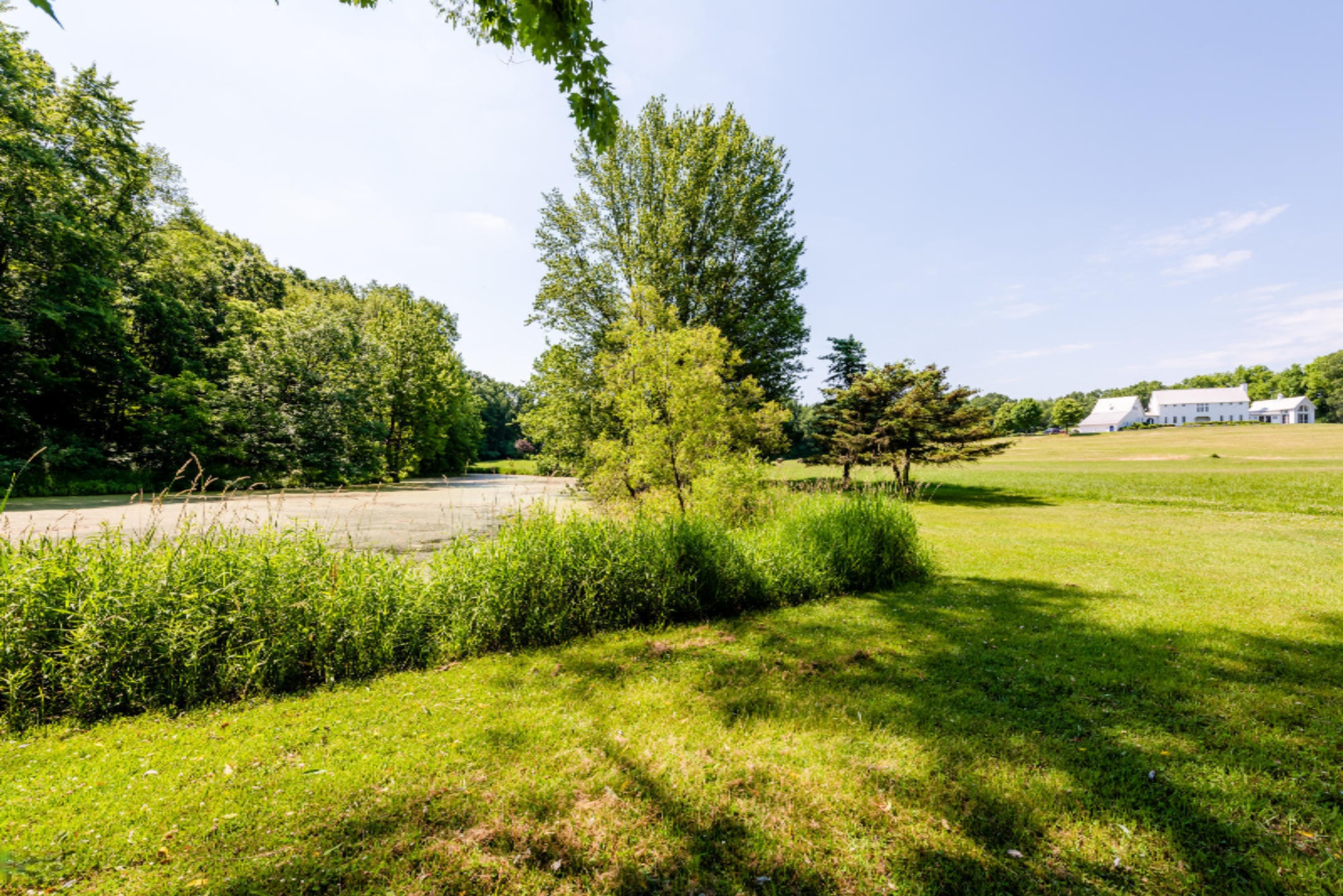 584 Mt Tabor Road Buchanan, MI 49107 - Photo 41 of 54 Mt Tabor-138