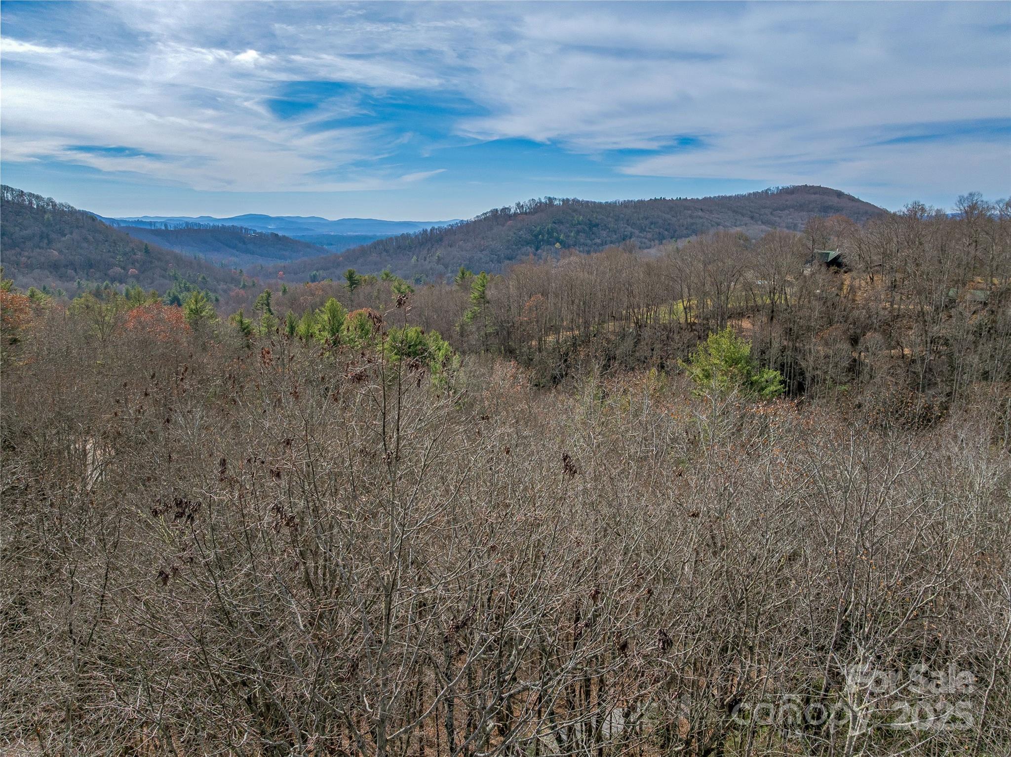 9999-12 Bob Barnwell Road Asheville, NC 28803 - Photo 11 of 21 a view of a lush green mountain in the distance